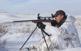 Carry enough gun to do the job when predator hunting