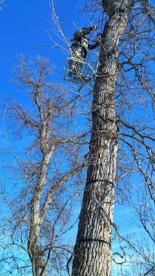 Hanging a stand in a lone tree isn’t ideal for concealment. If you must, then be sure to climb at least 20 feet.