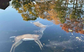 Locked Bucks Found Dead in Lake