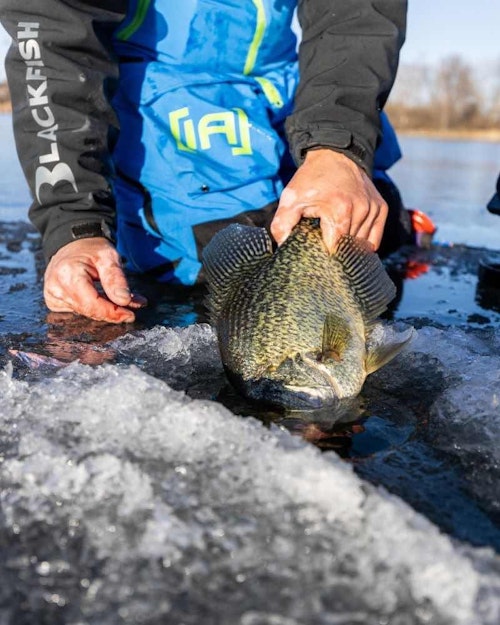 Minimize the time a fish is out of the water to ensure a successful release.