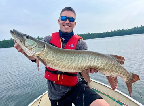 Don’t barge into a muskie spot and begin pounding the water to a froth. Instead, slip in quietly; use the wind to your advantage if possible, that way you don’t have to alert fish with the trolling motor.