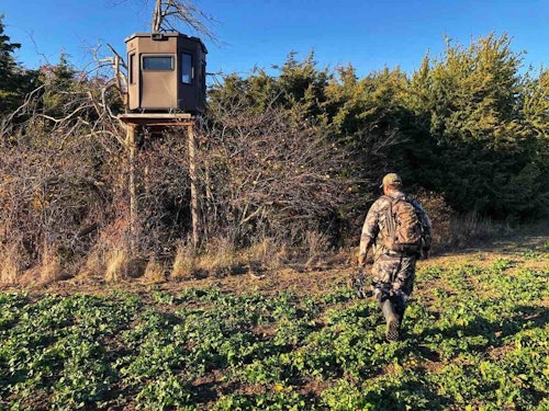 Field-edge setups are ideal locations for pre-rut hunts because bucks visit these sites to find the first doe in estrus.