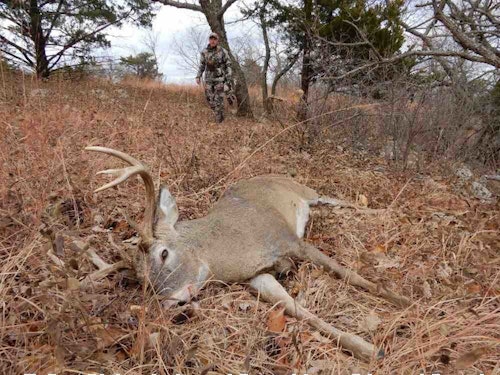 The author has tracked numerous deer over the years and always cautions on the side of patience. As long as conditions allow for meat preservation, leaving a deer longer ensures it has more time to bleed out and expire.