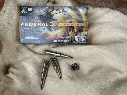 Federal Ammunition’s Terminal Ascent provides the knock-down performance to anchor any big-game animal Texas (or Africa) has to offer.
