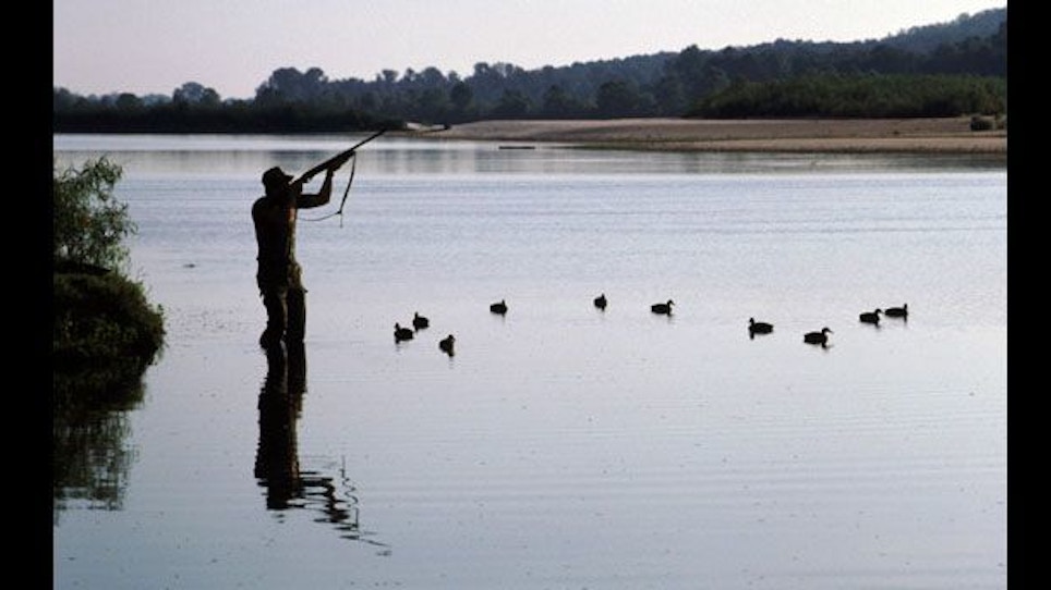 How To Hunt Ducks on Big Rivers