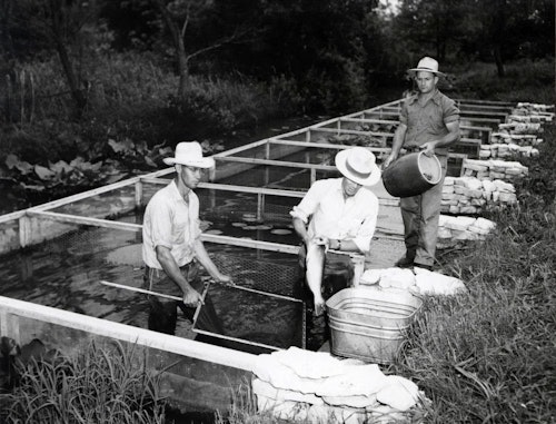 Readers will learn about fish and fisheries conservation from across the United States. Show above are channel catfish brood pens, Tishomingo, Oklahoma, 1955.