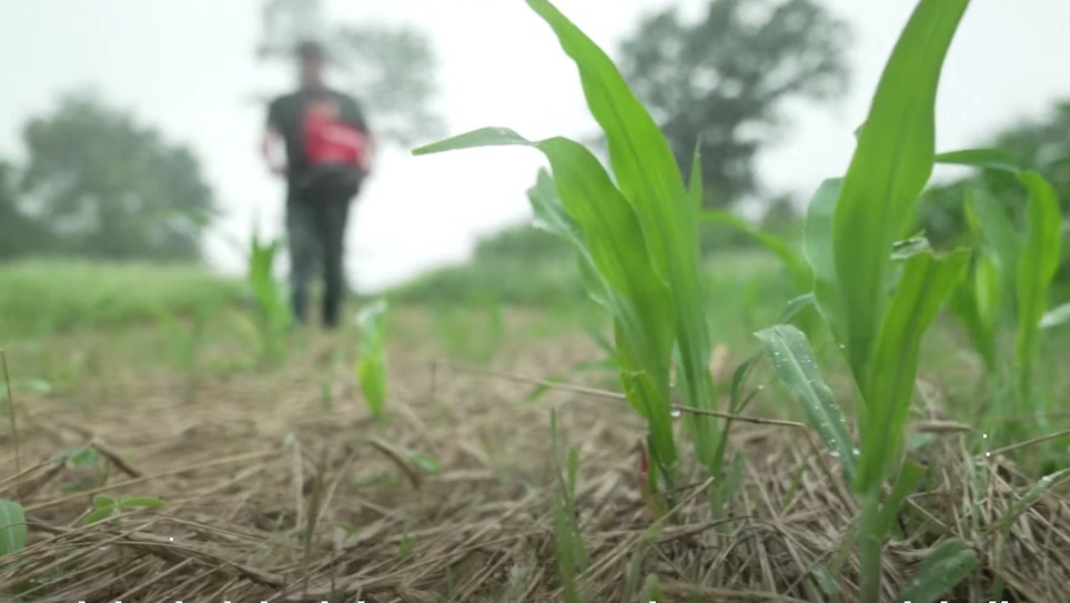 Video: Save Your Failing Food Plot — Now!