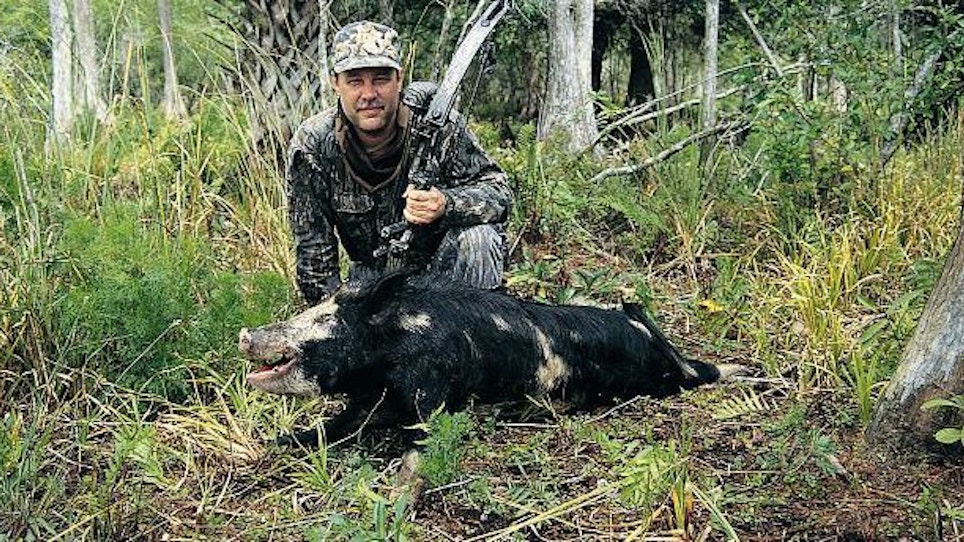 Hog Hunting Seminole Country—Part 1