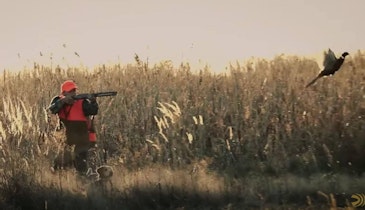 Video: Upland Hunting Shooting Drill