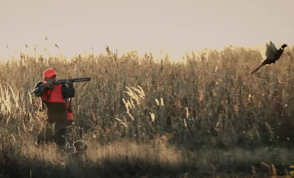 Video: Upland Hunting Shooting Drill