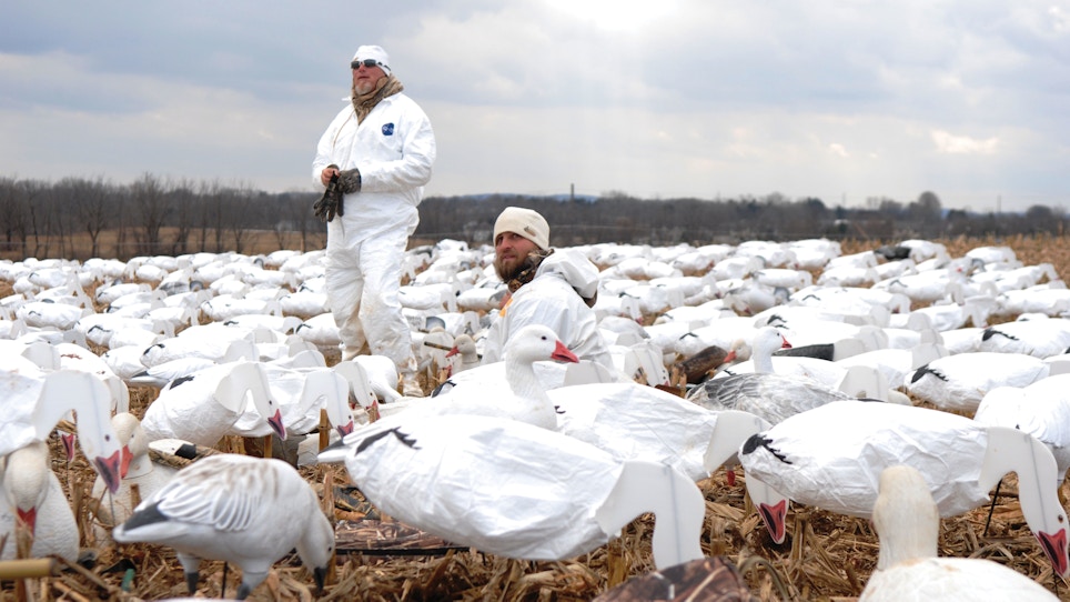 Snow goose hunting: Tips for staying hidden
