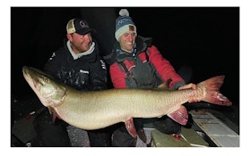 Probable New State Record Muskie Caught in Minnesota — 55 pounds, 14.8 ounces!