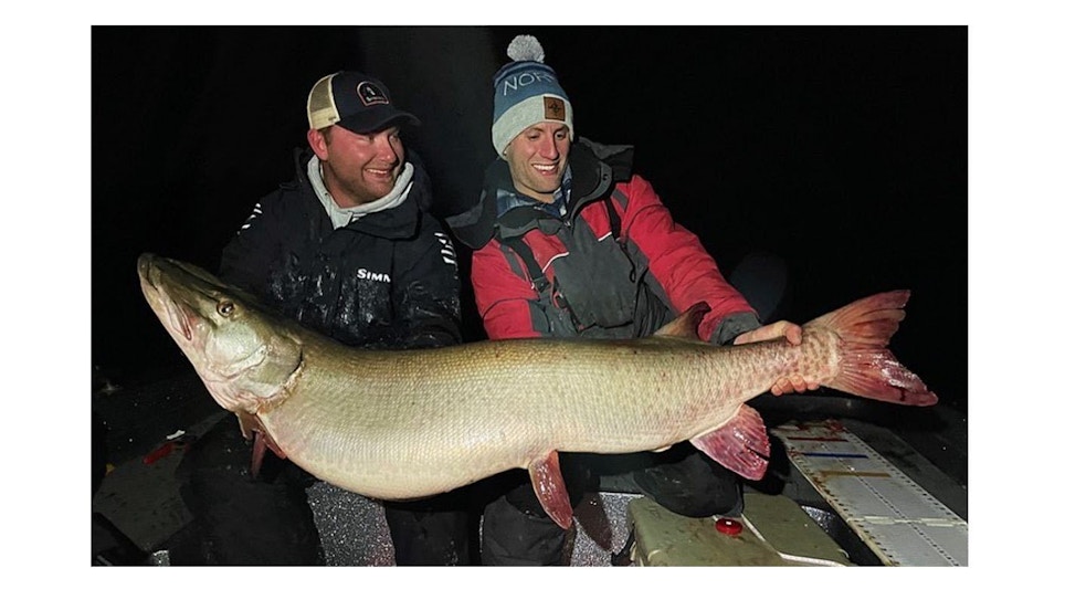 Probable New State Record Muskie Caught in Minnesota — 55 pounds, 14.8 ounces!