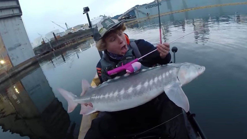 Must-See Video: Massive Sturgeon Caught on a Barbie Fishing Rod