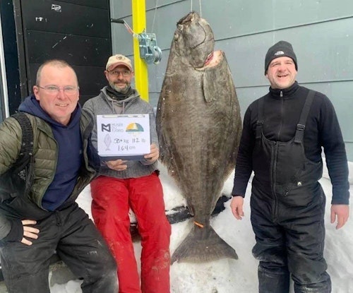 The trio’s Atlantic halibut was analyzed at the Fjord Museum; it tipped the scales at 112 pounds.