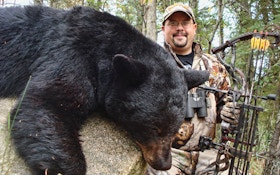 Bear Hunting Sparks Fierce Debate In Many States