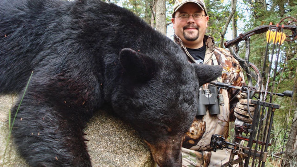Bear Hunting Sparks Fierce Debate In Many States