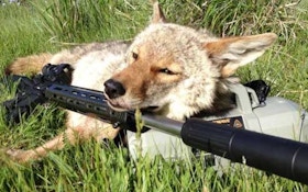 Tom Austin takes a coyote with EOTech's one millionth sight