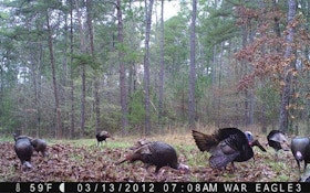 Keep using your trail cameras during the off season