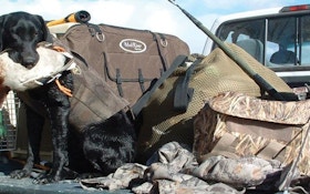 Traveling With A Hunting Dog, Part II