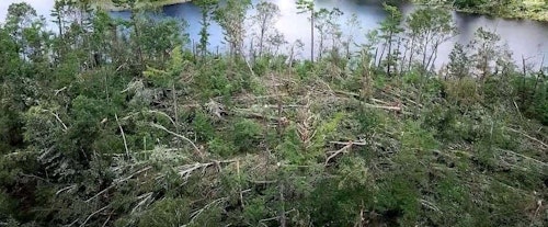 In the author’s hunting area in Wisconsin, straight-line winds up to 85 mph that lasted nearly 20 minutes combined with a couple tornadoes and torrential rains uprooted or snapped many large trees. The storm, which hit in July 2019, has provided whitetails with limitless security cover.