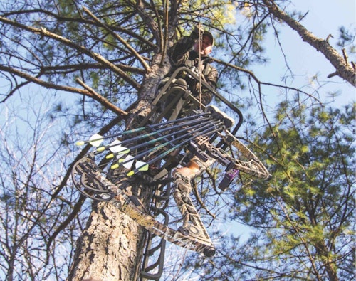 Placing treestands and cutting shooting lanes in August gives whitetails plenty of time to relax before opening day in September. (Photo by Mark Kayser.)