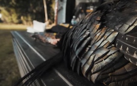 YouTube’s Best Video on How to Butcher a Wild Turkey