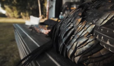 YouTube’s Best Video on How to Butcher a Wild Turkey