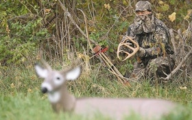 Calling Whitetail on the prowl—part 2