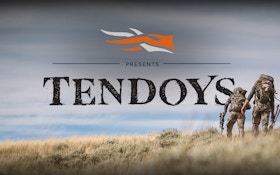 Hunting Rocky Mountain Bighorns In The Tendoys