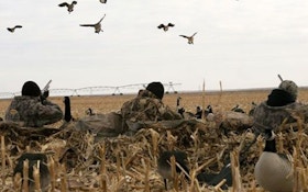 Waterfowling With Confidence Decoys