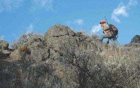 Hunting Western Whitetails