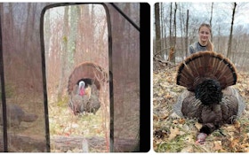 Shotgun Video: Wild Turkey Tagged at Only 4 Yards