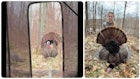 Shotgun Video: Wild Turkey Tagged at Only 4 Yards