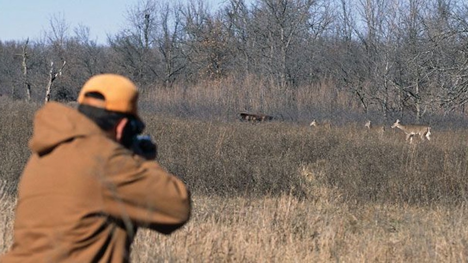 Hunter's dilemma: should you shoot does with fawns?