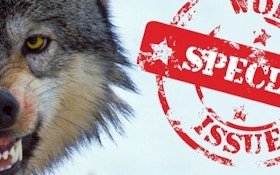 Predator Xtreme Examines How Wolves Affect Big Game Hunting