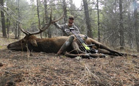 Bugling Bull Pro Staffer J.C. Navarro On Calling Elk