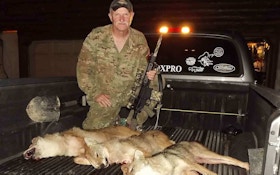 From The Readers: Coyote Shootout!